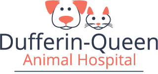 Dufferin-Queen Animal Hospital
