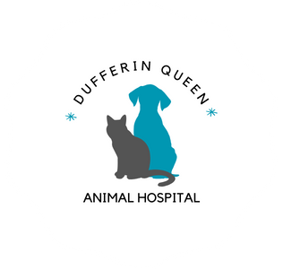 Dufferin-Queen Animal Hospital