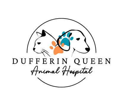 Dufferin-Queen Animal Hospital